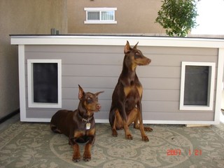 Meco and Kira - Southern California